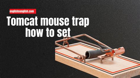 how to set the tomcat mouse trap